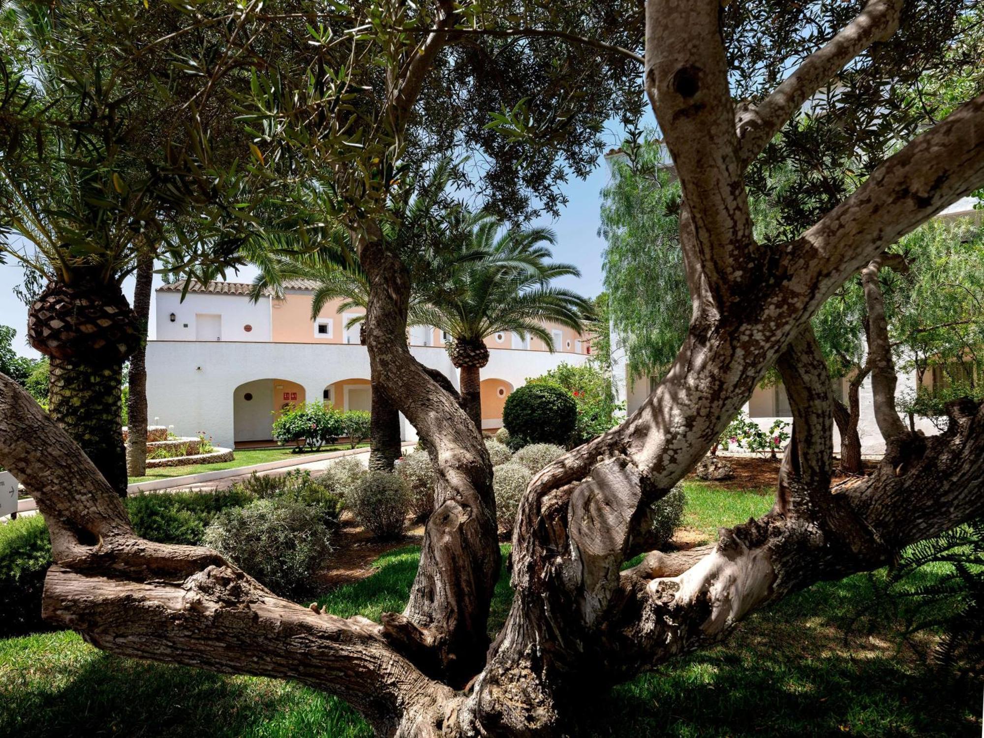 Sol Falco Menorca Son Xoriguer Εξωτερικό φωτογραφία
